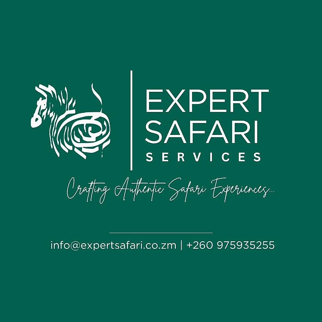Expert Safari Services