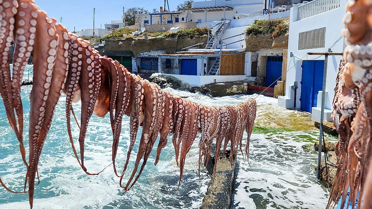 GREEK FOOD TRAILS: TASTE THE JOURNEY