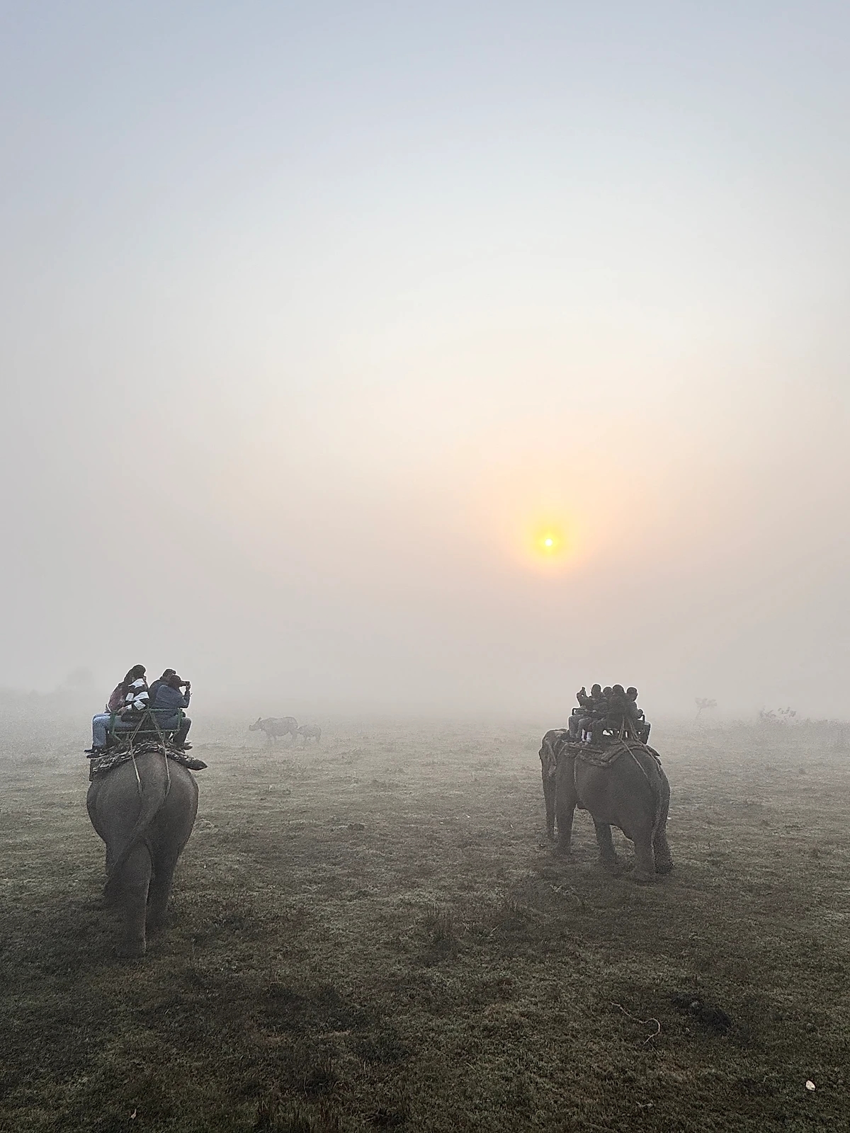 A Perfect Family Getaway to Northeast India – Assam & Meghalaya Diaries