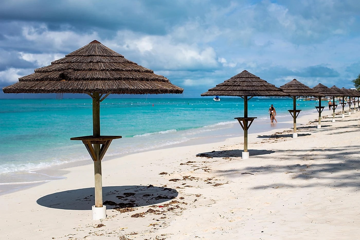 The Ultimate Travel Architect for Discerning Explorers