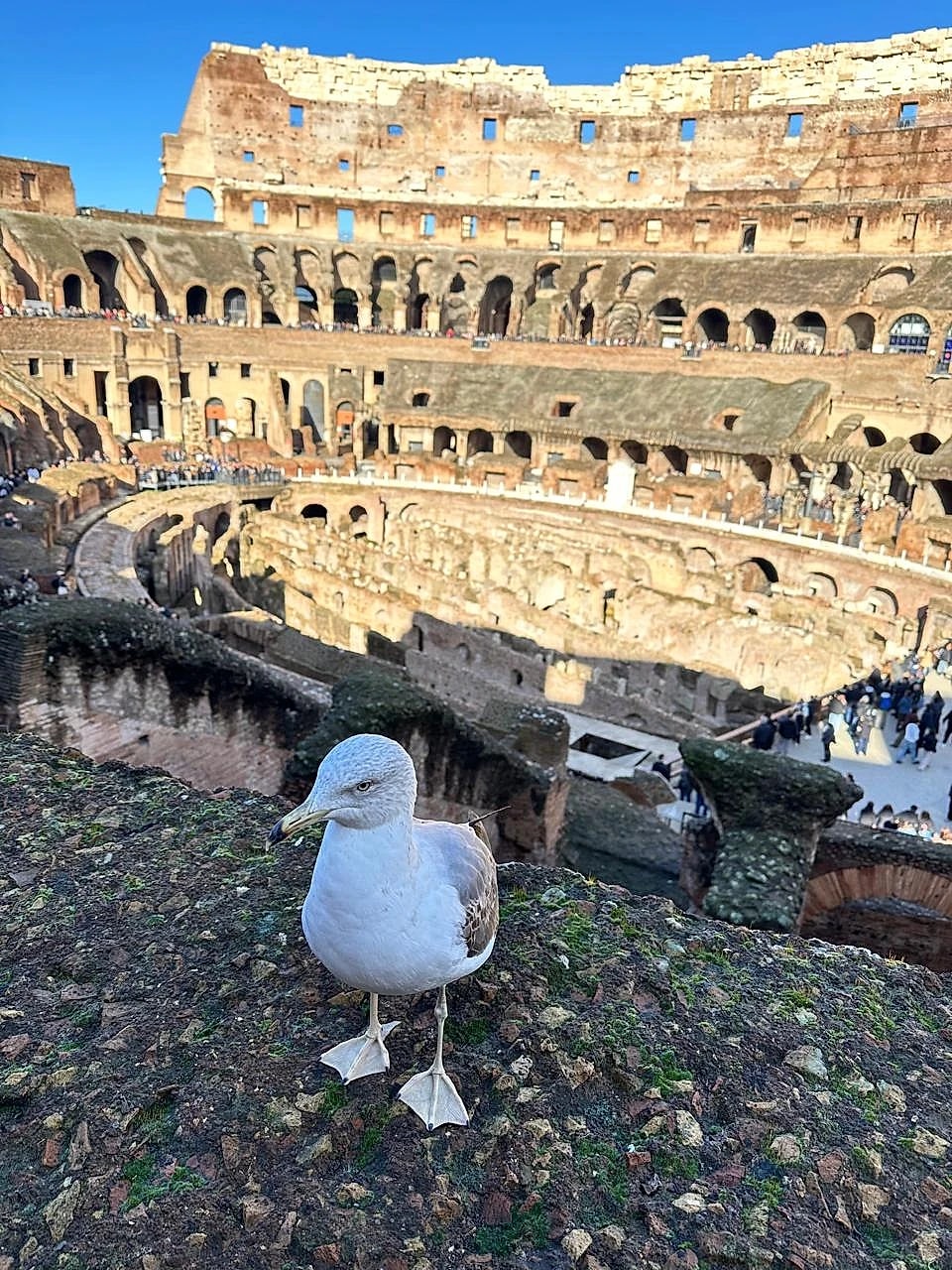 Roma Inolvidable: Guía Práctica para Descubrir la Ciudad Eterna sin Estrés