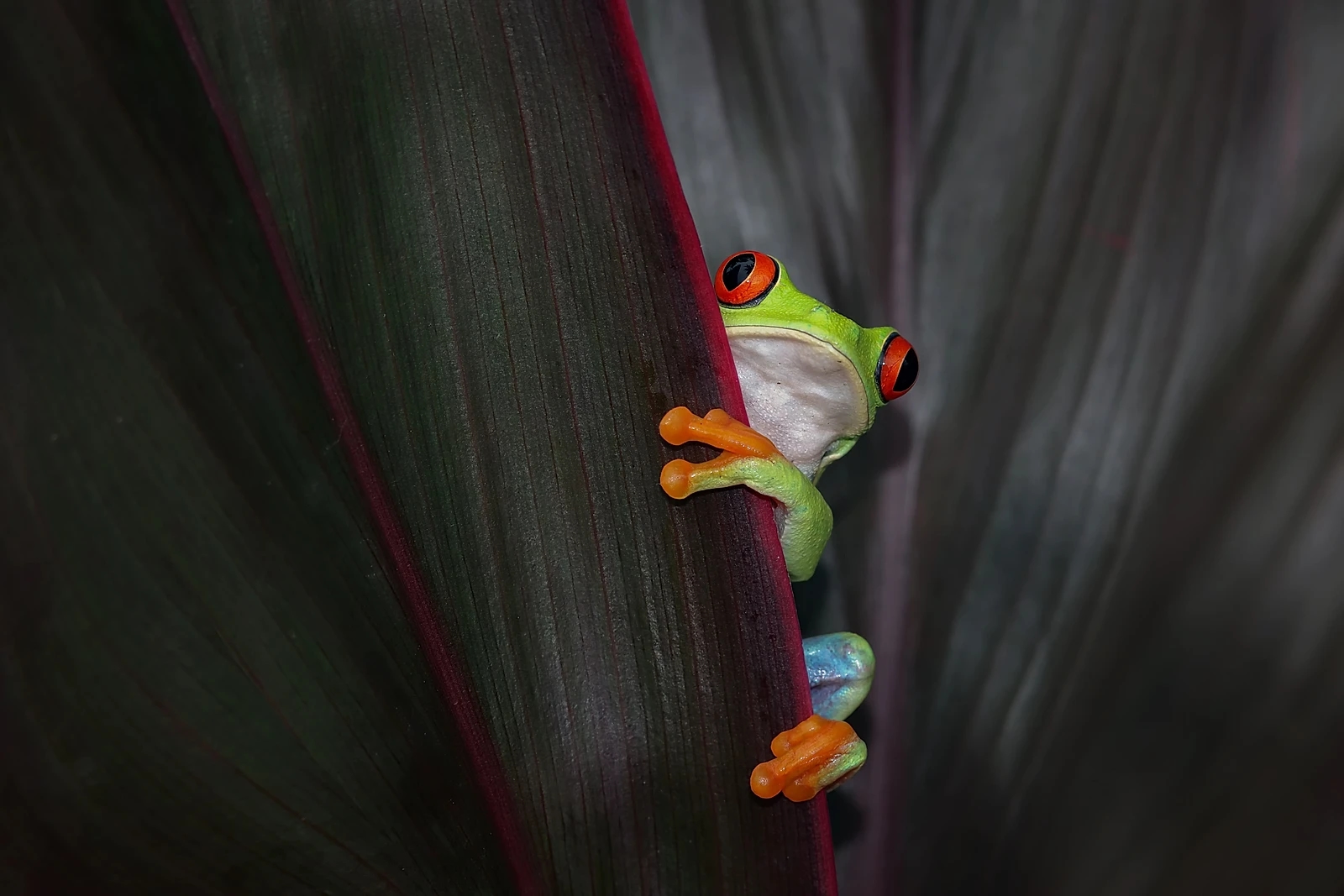 Costa Rica Travel Guide: Nature, Culture & Adventure