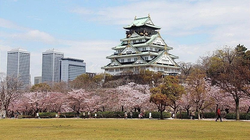 Japan Family Tour: The Ultimate Travel Guide for Families