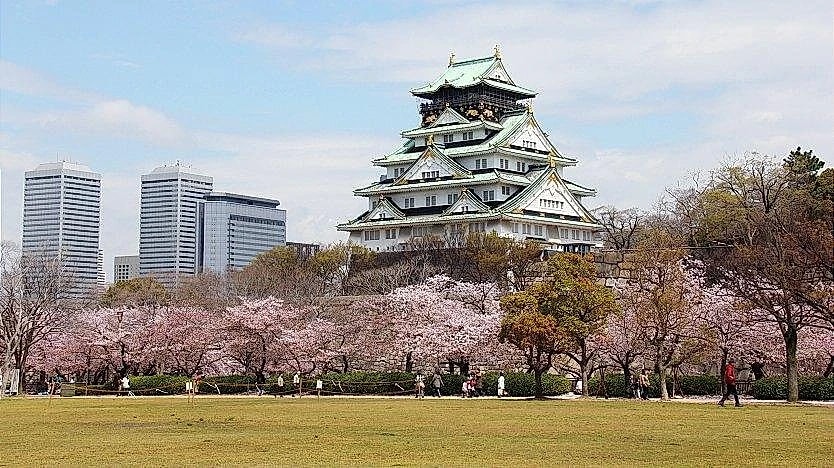 Japan Family Tour: The Ultimate Travel Guide for Families