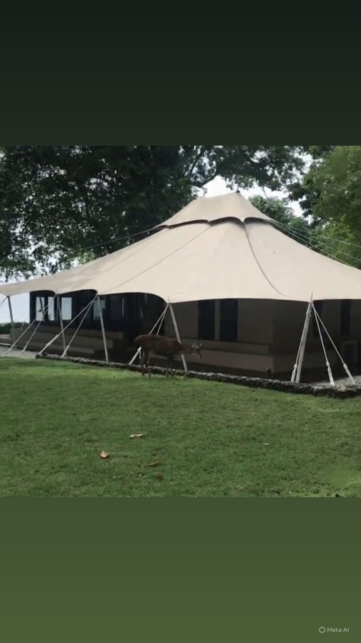 Your Bespoke Journey: A Tailor-Made Travel Guide Designed Around You