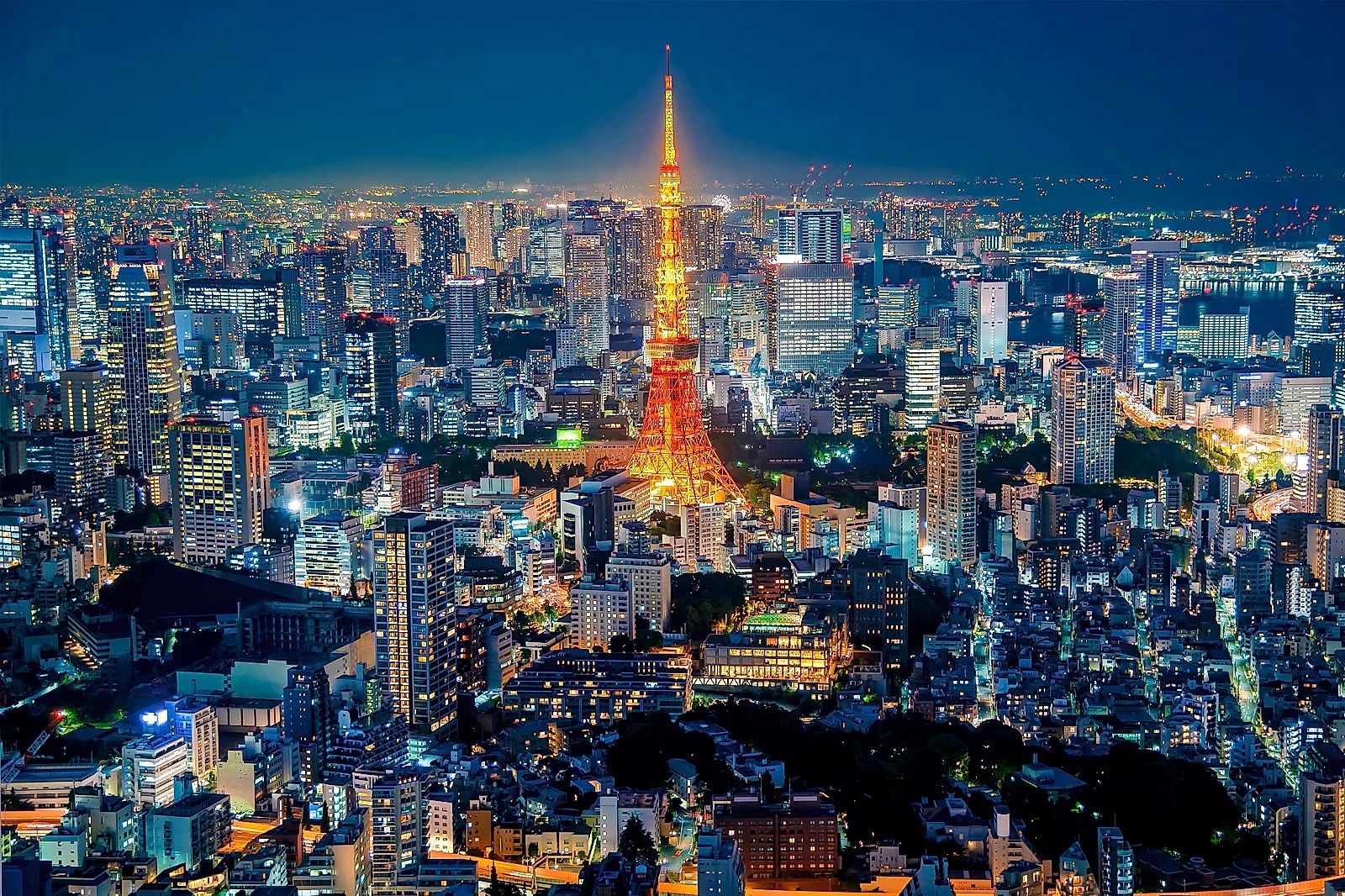 A dazzling collision of ancient tradition and hyper modern life — TOKYO JAPAN