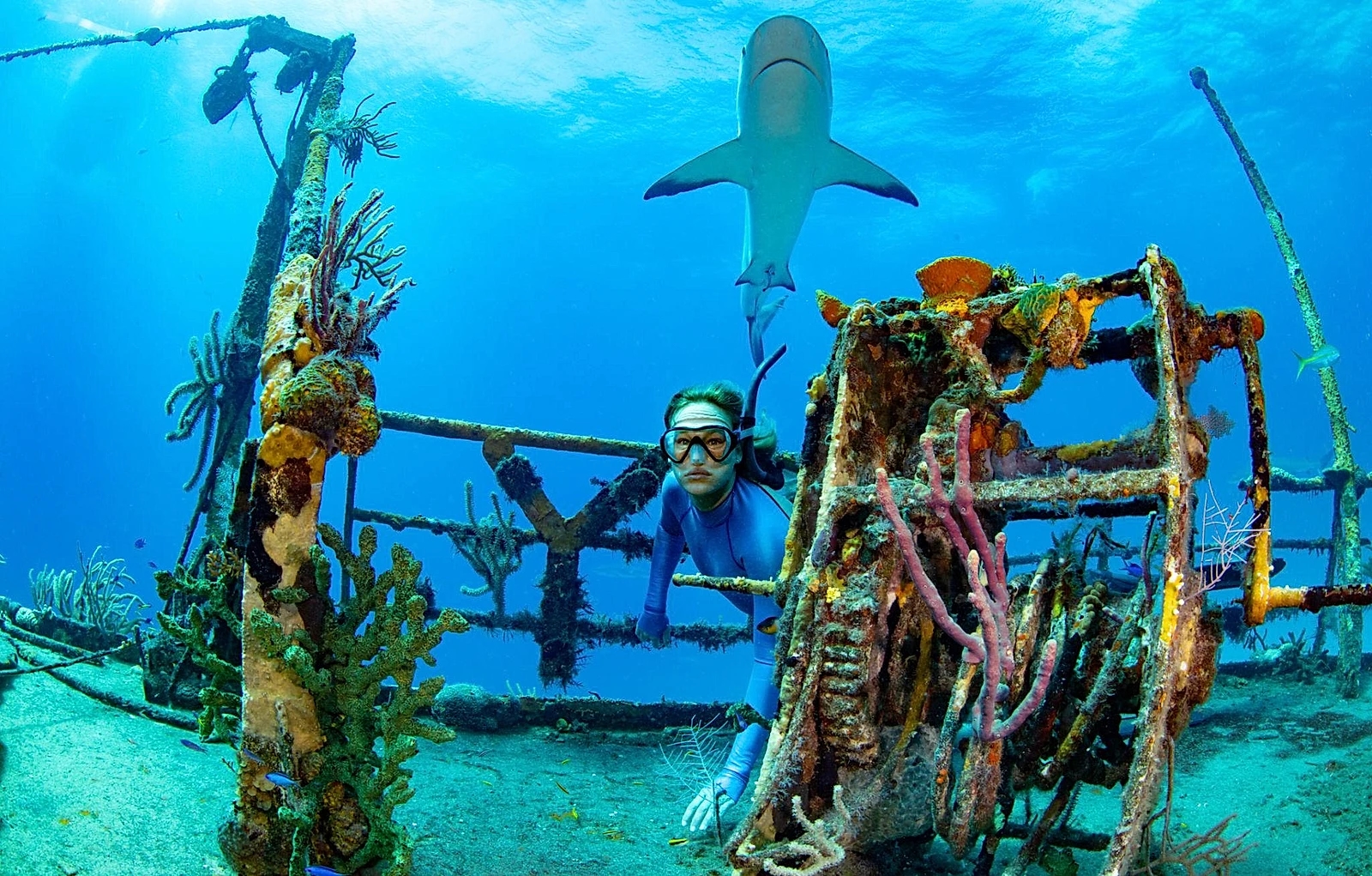 🌊 Bahamas Travel Guide for Couples (From a Diver’s Perspective) 💙