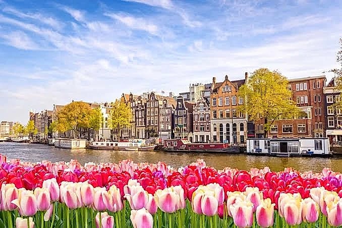 Discover Charming Cities, Windmills, Tulips & Dutch Culture