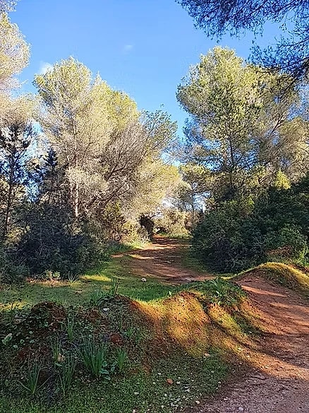 Hiking Trails Top Ten for 2026: Routes That Will Surprise Mallorcan Enthusiasts