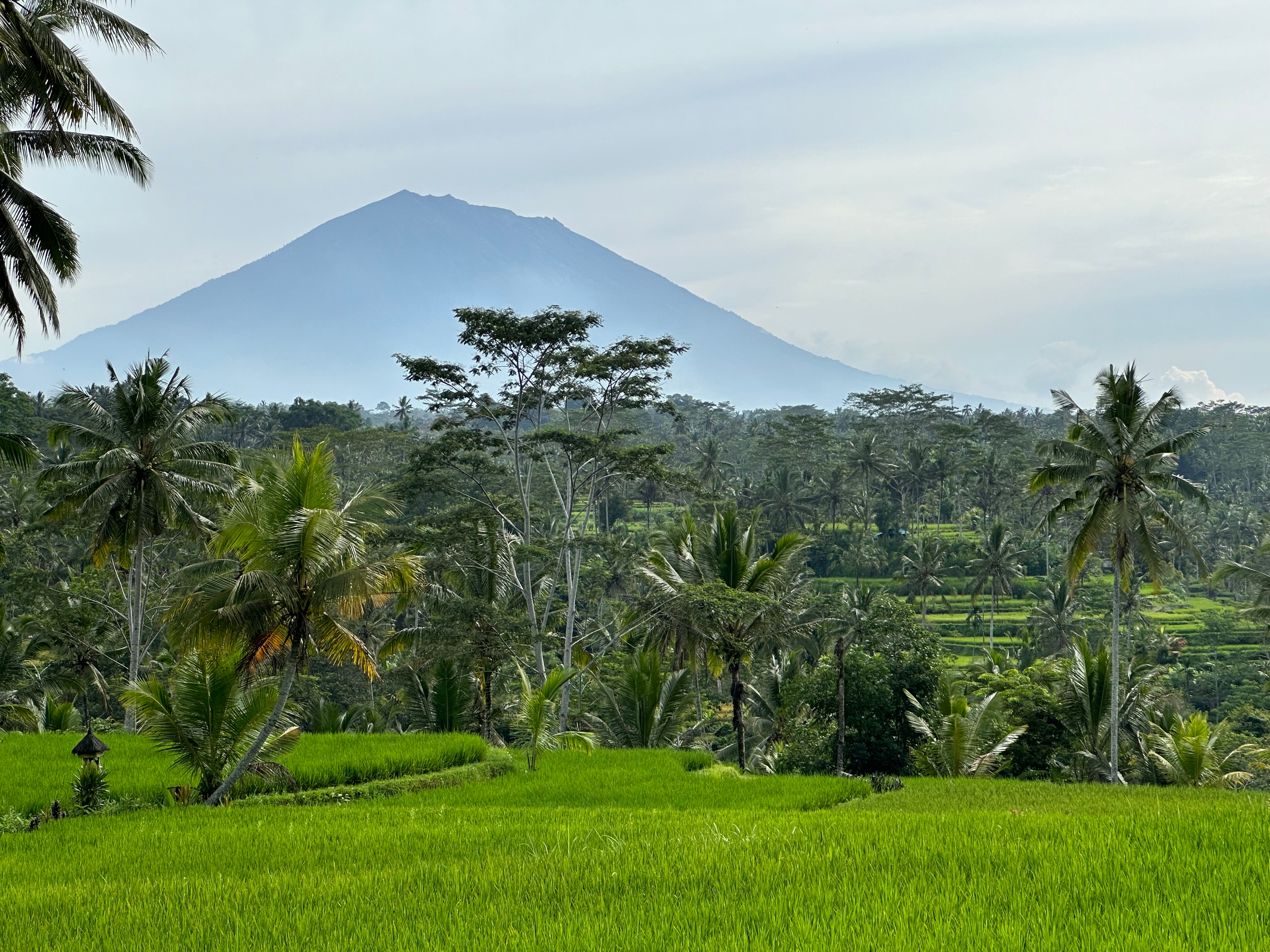 Bali, getting there and what to do