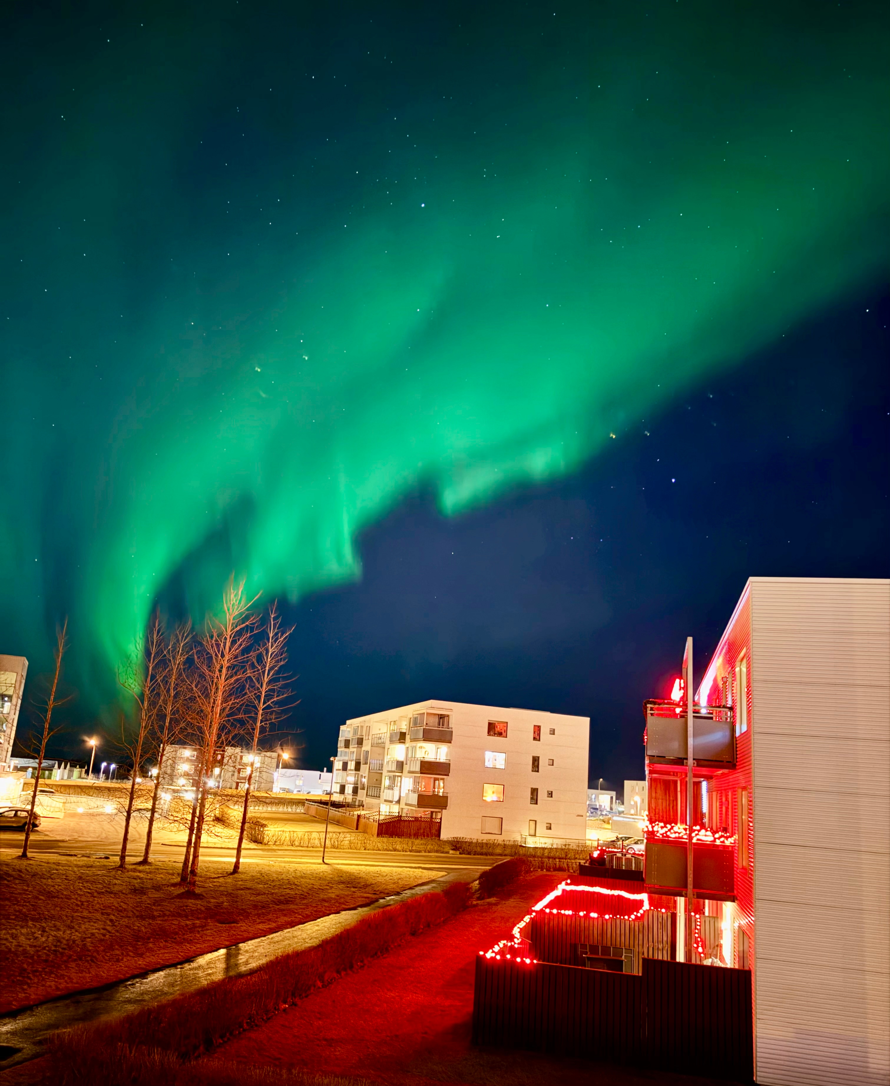 Aurora Borealis in Iceland: A Complete Travel Guide