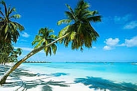 A Guide For Mauritius. My home country!