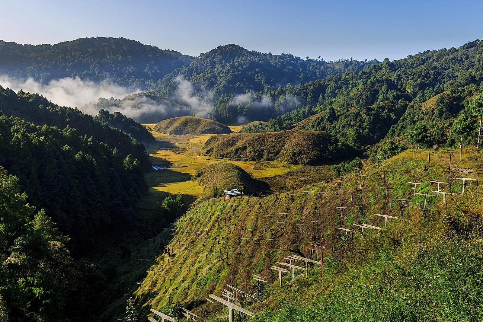 Ziro Valley - Arunachal pradesh
