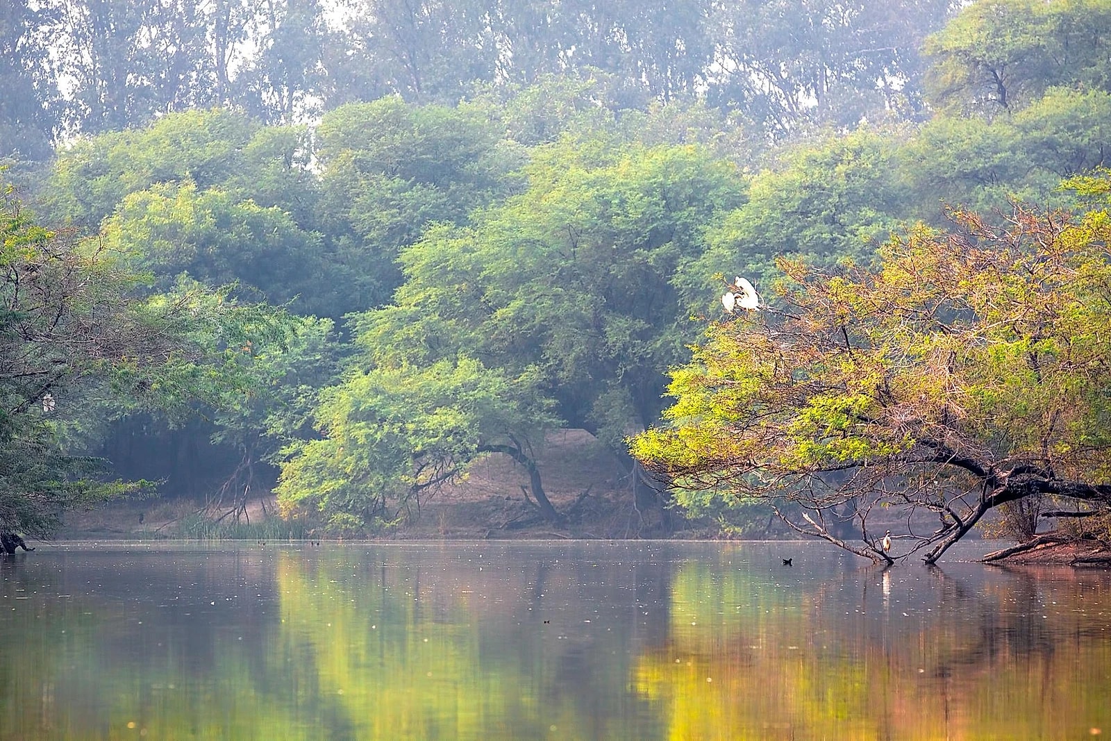 Sultanpur - Haryana, India