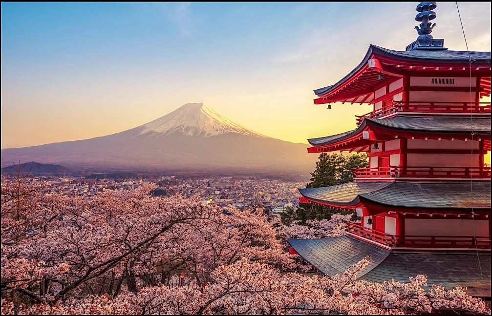 JOANNE'S Ultimate Travel Guide_ Japan