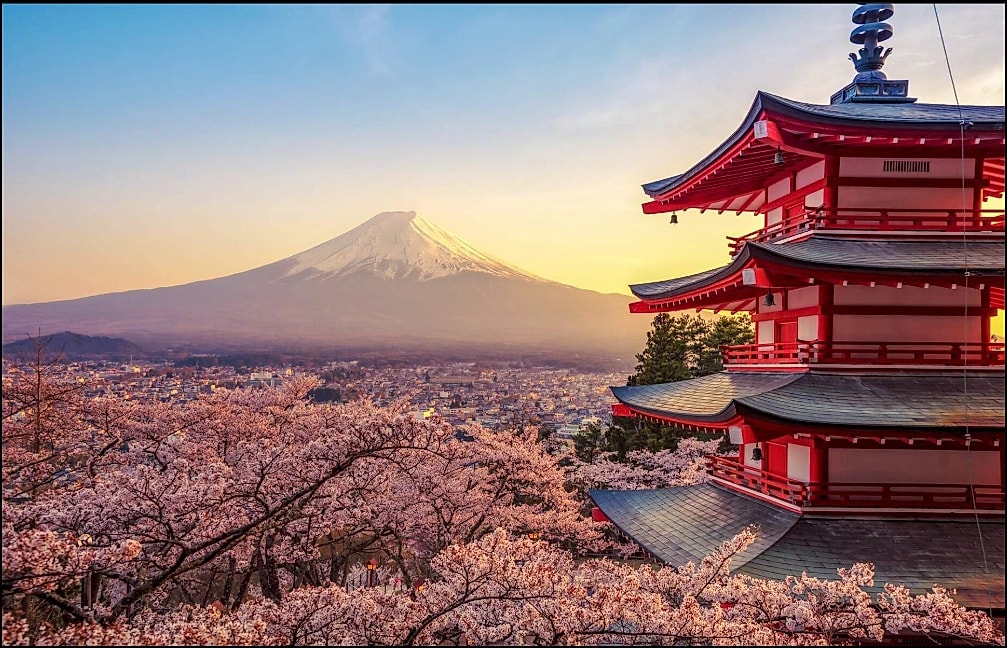 JOANNE'S Ultimate Travel Guide_ Japan