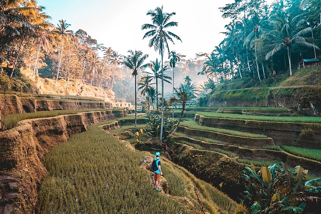 Guide to honey mooning in Bali.
