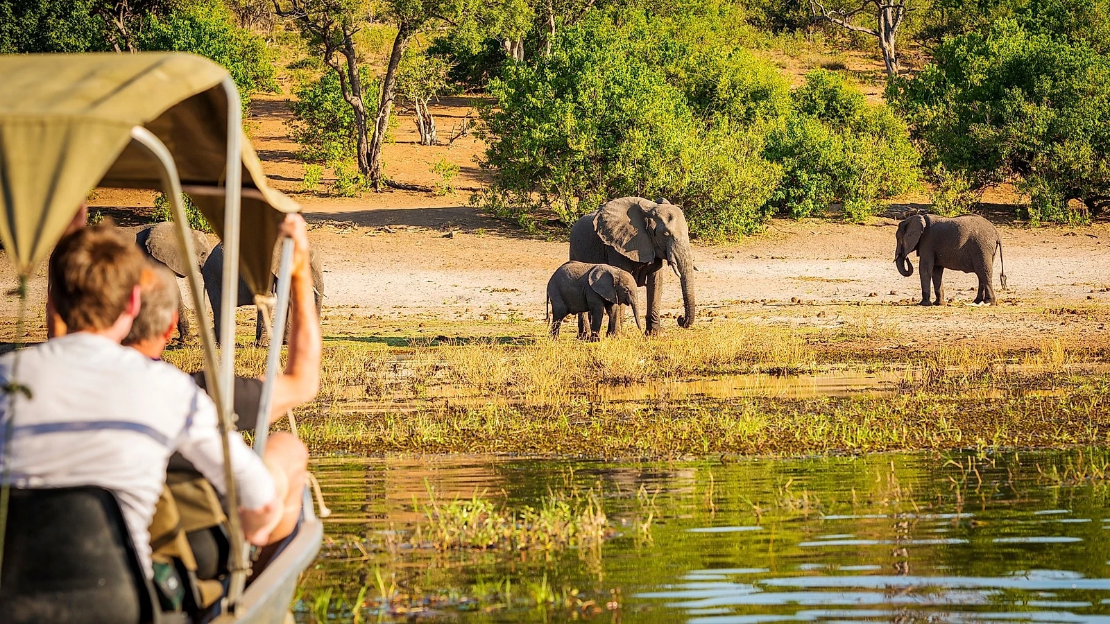 Uganda: Africa's Best-Kept Safari Secret